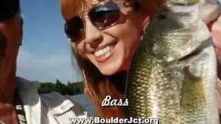 Illinois Outdoors TV Show, 277   Cold Water Bass