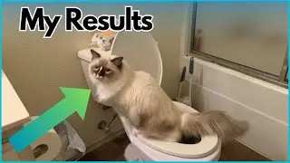 Litter Kwitter Cat Toilet Training System Results