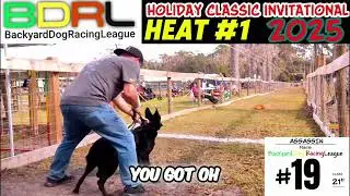 Fast Dogs, Fierce Competition: Backyard Dog Racing League!