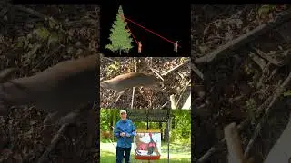 Where to aim when hunting from an elevated position