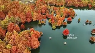 Here is Ningbo, where the colorful mountains never end to embrace you 。