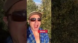 Epic Eclipse FAIL By Snapping Turtle Ponds! #shorts #eclipse