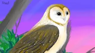 American Barn Owl 아메리카 가면올빼미 그리기