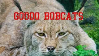BCTV 2 12 26