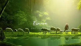 3 hours music for your cheerful morning🎵, Stress Relief (Essence)