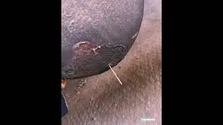 Заткнул зубочисткой ресивер на MAN