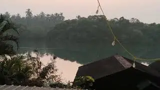Good morning from South Goa 🌴 Sal River views from the balcony 🌊 #beach #subscribe #shortvideo #goa 