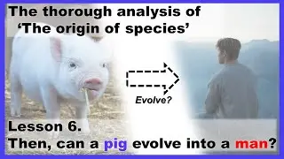 Lesson 6. : Then, can a pig evolve into a man?