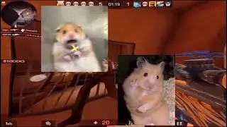 Парные авы(часть 2)