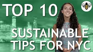 TOP 10 Sustainable Tips for NYC