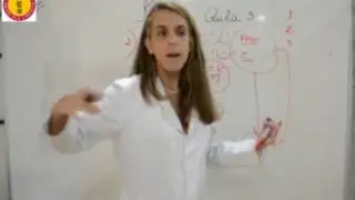 Entenda Ins&ocirc;nia pela Medicina Chinesa - Aula 3