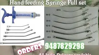 Hand feeding Syringe & 6 different size Curved stainless steel Needle