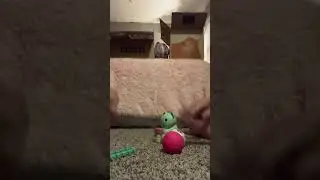 REAL FIDGET TRADING WITH MY BESTIE