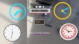 Ep: 49 Pet Nanny Delivers to Houston, Texas | Twelve Titans Kennels #twelvetitanskennels #canecorso
