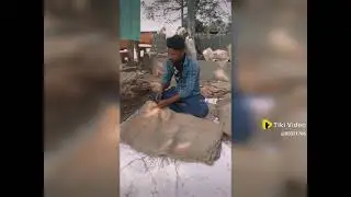 bori silai..😂😂🤣🤣