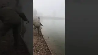 Форель на белый маггот 3 / Рыбалка в ДУРЫКИНО