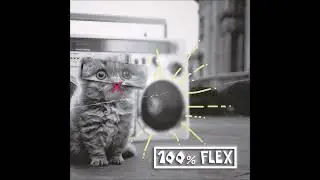 Les Cool Cash Flex - Autosatisfaction
