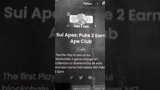 Puke 2 Earn Ape Club, 1я площадка 