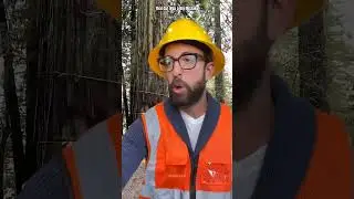 Epic Ladder Fail While Trimming the Tree! 🌴 #usa
