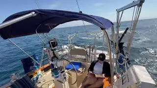 Sailing to Howlands Landing, Catalina Island, Island Packet IP40