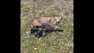 45 lbs. Bobcat Down 300 Blackout, FLIR PTS 233 and SilencerCo HYBRID 46 setup