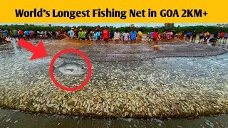 Amazing! 😱 2KM+ World&rsquo;s Longest Traditional Fishing Net | Miramar to Dona Paula, Goa 
