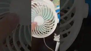 2 сентября 2024 г.