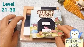 Tutorial: Playing Hidden Blocks Level 21-30 is easy.