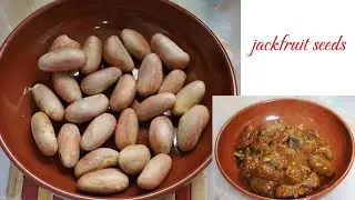 Jackfruit vs Chicken: Which One Wins? 🥦🍗 | Vegan Meat Alternative Showdown