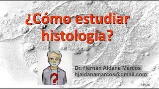 consejos para estudiar Histología
