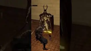 Gold Tracer💛+Dark Silver Tracer🩶 in Dark Souls: Remastered 👵🏻🧸
