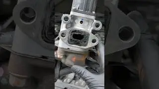 Massive Blockage in this Mitsubishi Pajero‼️ #mitsubishipajero #diesel #carcare #4x4australia