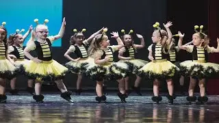 HAYA - Bumble Bee