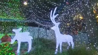 В Канберре представили самую большую в мире рождественскую инсталляцию (новости)