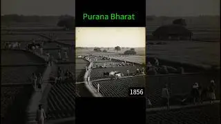 Rare Photos of India 1850s | Old Memories
