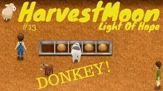 Harvest Moon: Light of Hope | #13 | Donkey! | Celery Quest! |