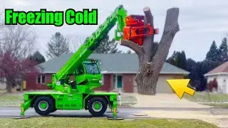 На улице всего 10&deg;... И всё равно справимся | Компания Merlo Crane Tree Removal