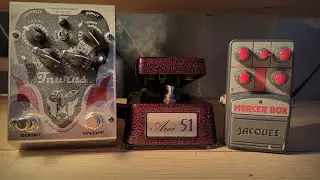JacQueS MerCeR  bOX | TaurUS TuX 3 | Area 51 WaH | BehRingEr V-AMP 3 uLTraZoNiC mAT&TheW8:13