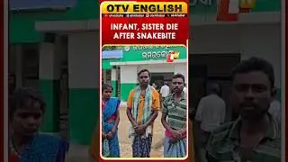 Odisha Tragedy: Infant, His Sister Succumb After Snakebite Treated With &lsquo;Superstition&rsquo;