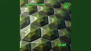 HEXoskeleton