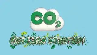 FM Conway: Net Zero Strategy