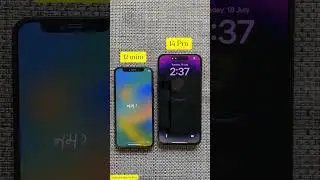 iPhone 12 Mini vs iPhone 14 Pro Size Comparison