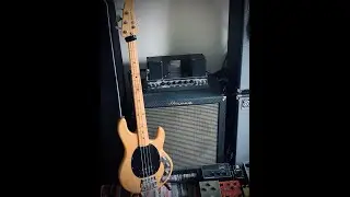 MUSICMAN STINGRAY BASS - HISTORY VIDEO - Andy's Vintage Guitars