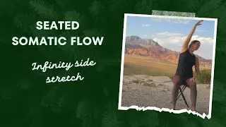 Seated Somatic Flow: Infinity side stretch