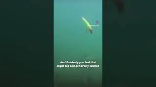 When your fishing for hours without a signal bite, then suddenly feel the tug 🤣 #fishing #angler