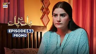 Pal Do Pal Episode 53 | Promo | Junaid Jamshaid Niazi | Tuba Anwer | ARY Digital