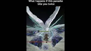 What happens if Sentient Pest bite you twice  #eldenringnightreign