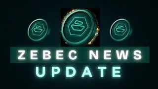 🚨BREAKING: NEW ZEBEC X / TWITTER FOLLOWS🚨 SHOW LARGER PLAN BREWING