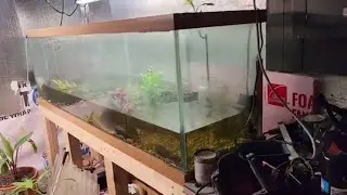 To Fix or to sell this cracked 125 gallon fish tank