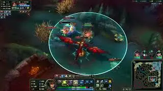 The cass arurf experience